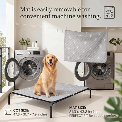 Pjyucien Raised Dog Bed with Pad, 48'' Gray2