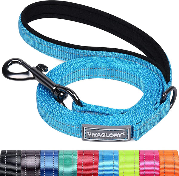 VIVAGLORY Dog Leash Puppy Leash for Collar, 3Ft X 1In, Black | with Soft Padded Handle for Training & Walking, Heavy Duty & Double Layer Nylon Pet Puppy17