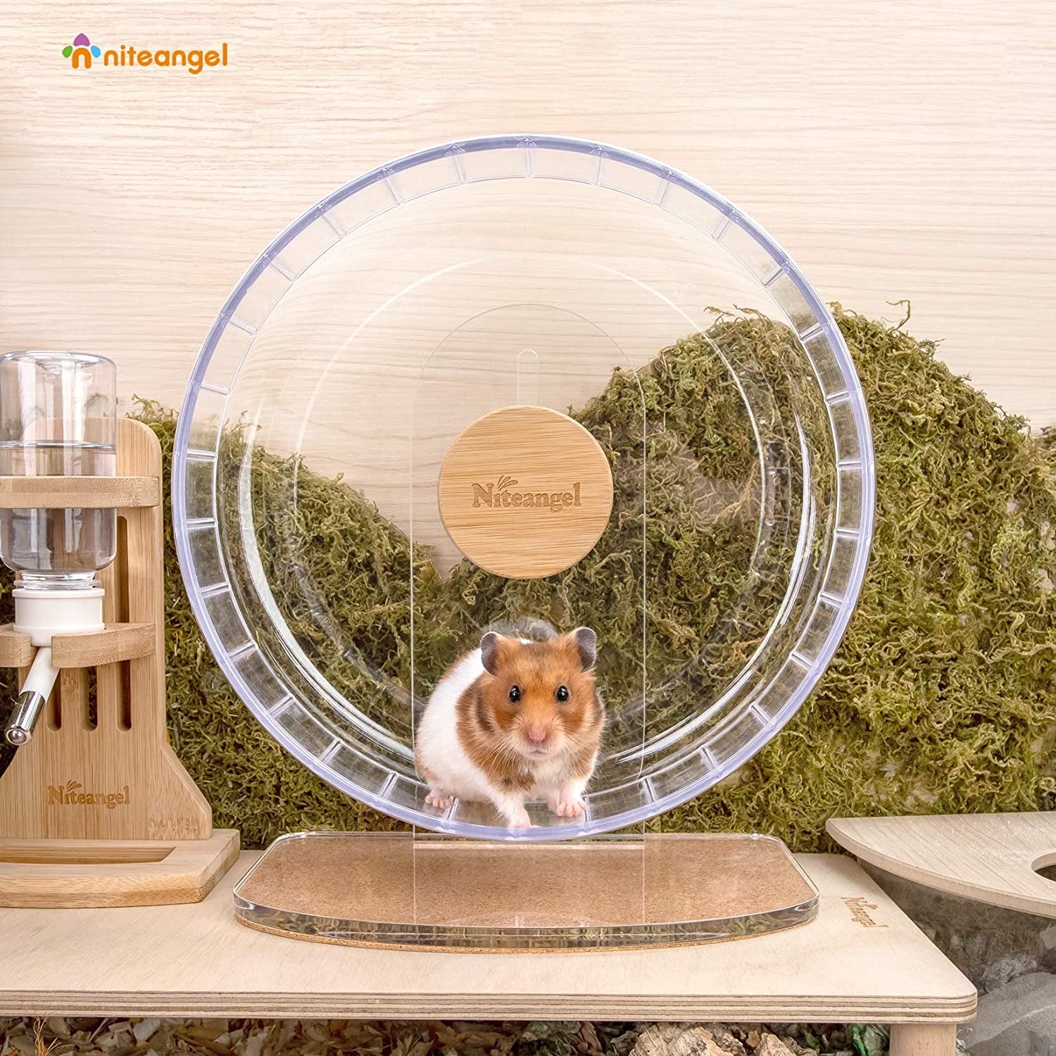 niteangel-super-silent-hamster-exercise-wheels-quiet-10-inch-running-wheel-can-10-6-13-4-adjustable-height-no-bend-back-spinner-running-for-dwarf-syrian-hamster-gerbils-mice-or-other-small-animal