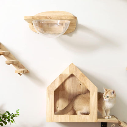 FUKUMARU Cat Wall Furniture Set, Transparent Capsule with 2 PCS Pedals | Kitten Walls Shelves, Premium Kitty Bed, for Sleeping, Playing, Climbing, Lounging, Holds up to 35 Lbs9