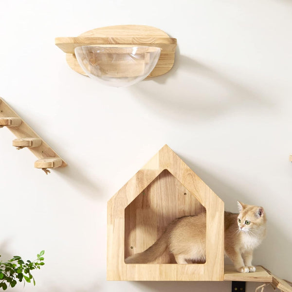 FUKUMARU Cat Wall Furniture Set, Transparent Capsule with 2 PCS Pedals | Kitten Walls Shelves, Premium Kitty Bed, for Sleeping, Playing, Climbing, Lounging, Holds up to 35 Lbs9