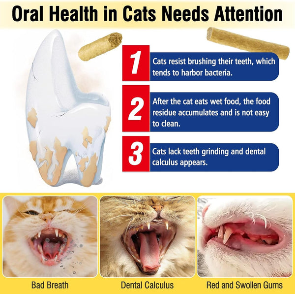 30G Freezed Dried Cat Chew Stick Chicken Flavor, Cat Dental Treats for Freshens Breath and Reduce Tartar, Feline Teething Sticks Cats Treats Snack2