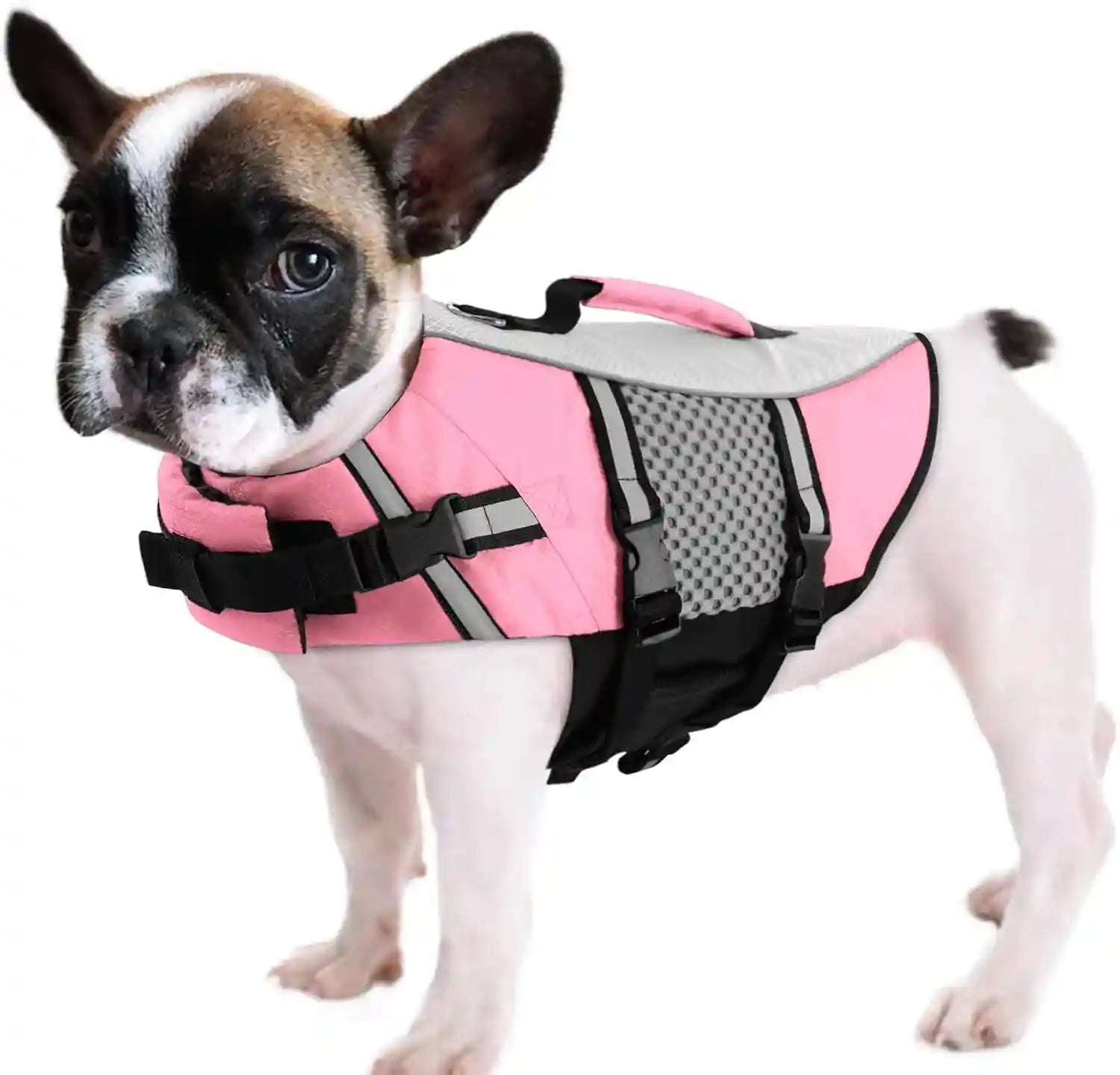 queenmore-dog-life-jacket-small-float-vests-for-swimming-boating-kayaking-mediumn-puppy-dogs-cats-neoprene-life-preserver-pet-water-lifesaver-lightweight-reflective-green-l