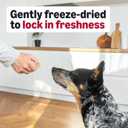 Amazon Basics Freeze-Dried Raw Single Ingredient Dog Treats (Previously Wag), Beef Liver, High Protein, Grain-Free, 3.3 Ounce (Pack of 1), Packaging May Vary5