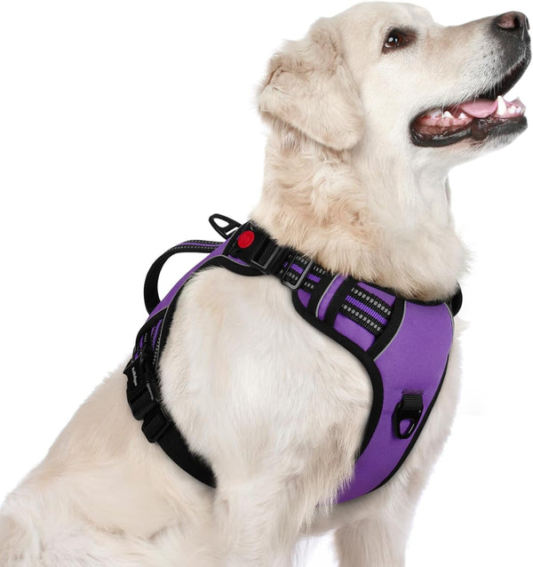 Rabbitgoo Large Dog Harness, Easy Wear with 3 Buckles and Lift Handle | No Pull with Front Clip for Walking, Adjustable Soft Padded, Reflective, Easy Control, Pink, Large26