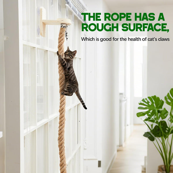 Weysat Cat Climbing Rope 2 Pcs Window Perch with 59.1 Inch Climbing Rope Wall Mounted Cat Tree Tower Toy with Scratching Post Kitten Ladder Jumping Platform Wall Steps for Playing and Rest5