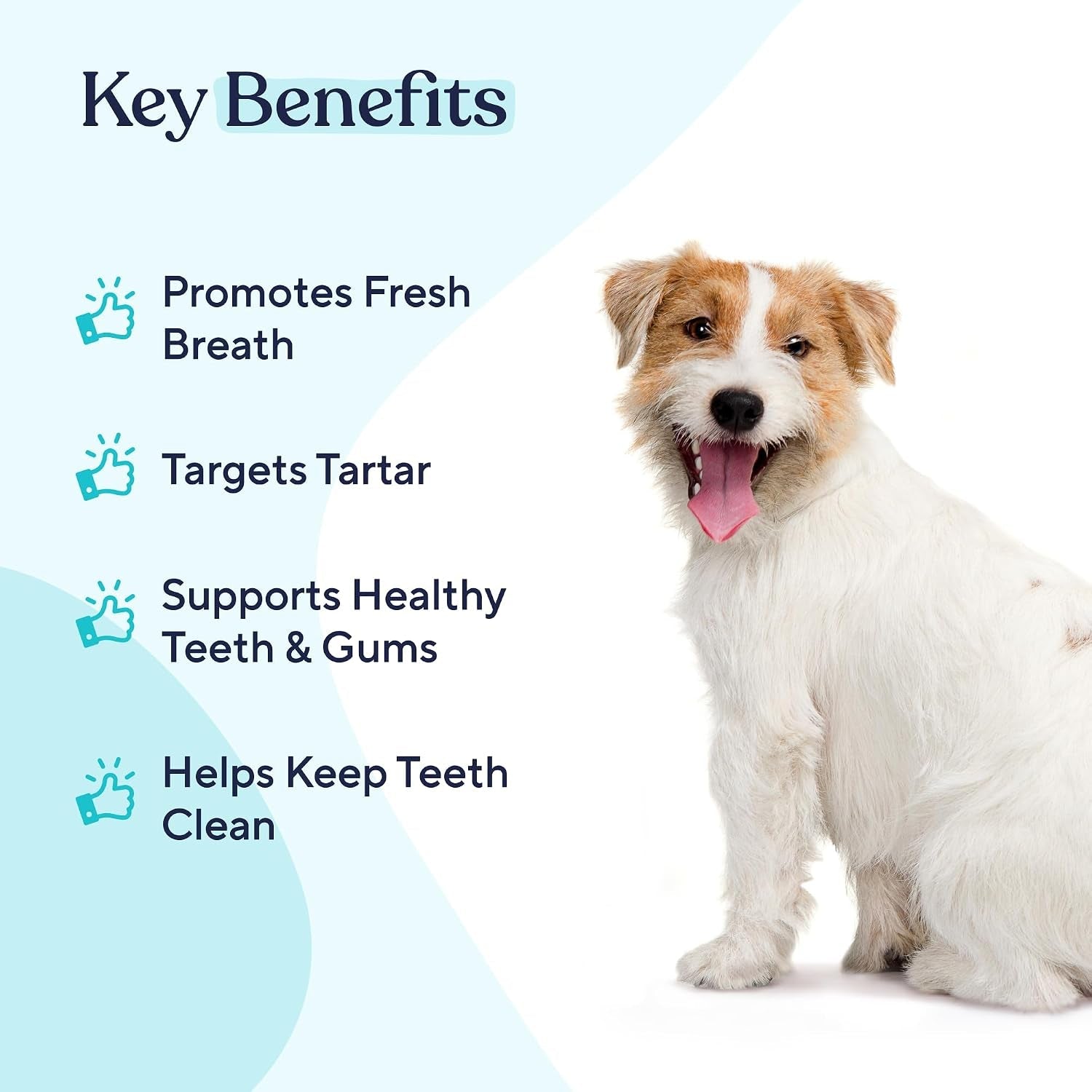 pawfy-dog-breath-freshener-with-specialized-dental-care-formula-dog-teeth-cleaning-mouthwash-helps-freshen-dogs-breath-with-easy-water-additive-supports-plaque-and-tartar-control