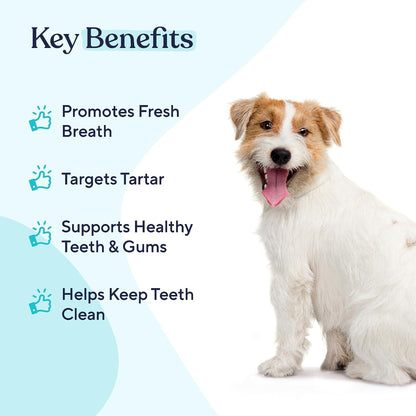 Pawfy Dog Breath Freshener with Specialized Dental Care Formula | Dog Teeth Cleaning & Mouthwash | Helps Freshen Dogs Breath with Easy Water Additive | Supports Plaque and Tartar Control2