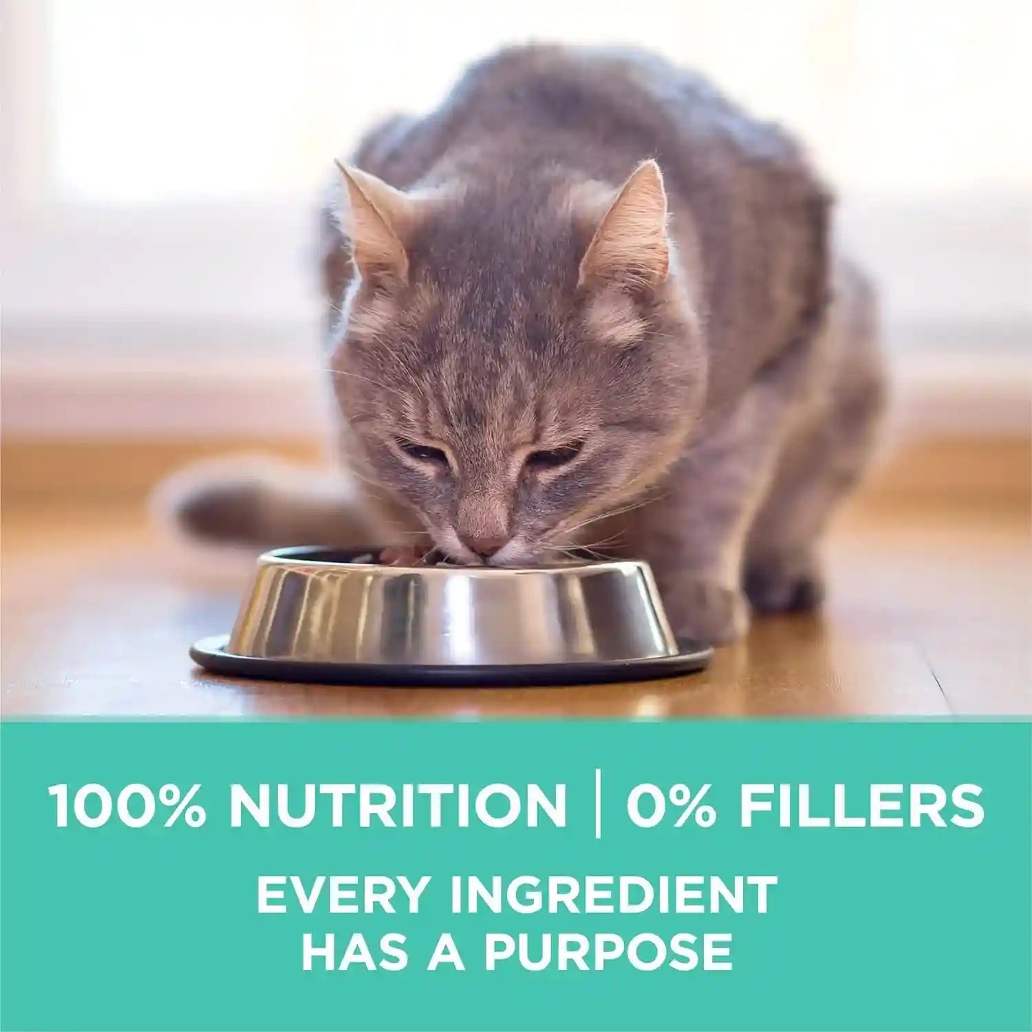 purina-one-sensitive-stomach-sensitive-skin-natural-dry-cat-food-plus-sensitive-skin-and-stomach-formula-7-lb-bag