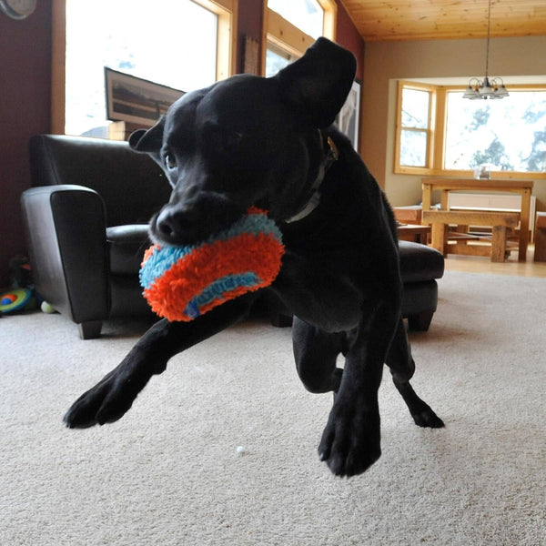 Chuckit! Indoor Fetch Roller Toy for Dogs - Interactive Dog Toys for Boredom, Orange and Blue7