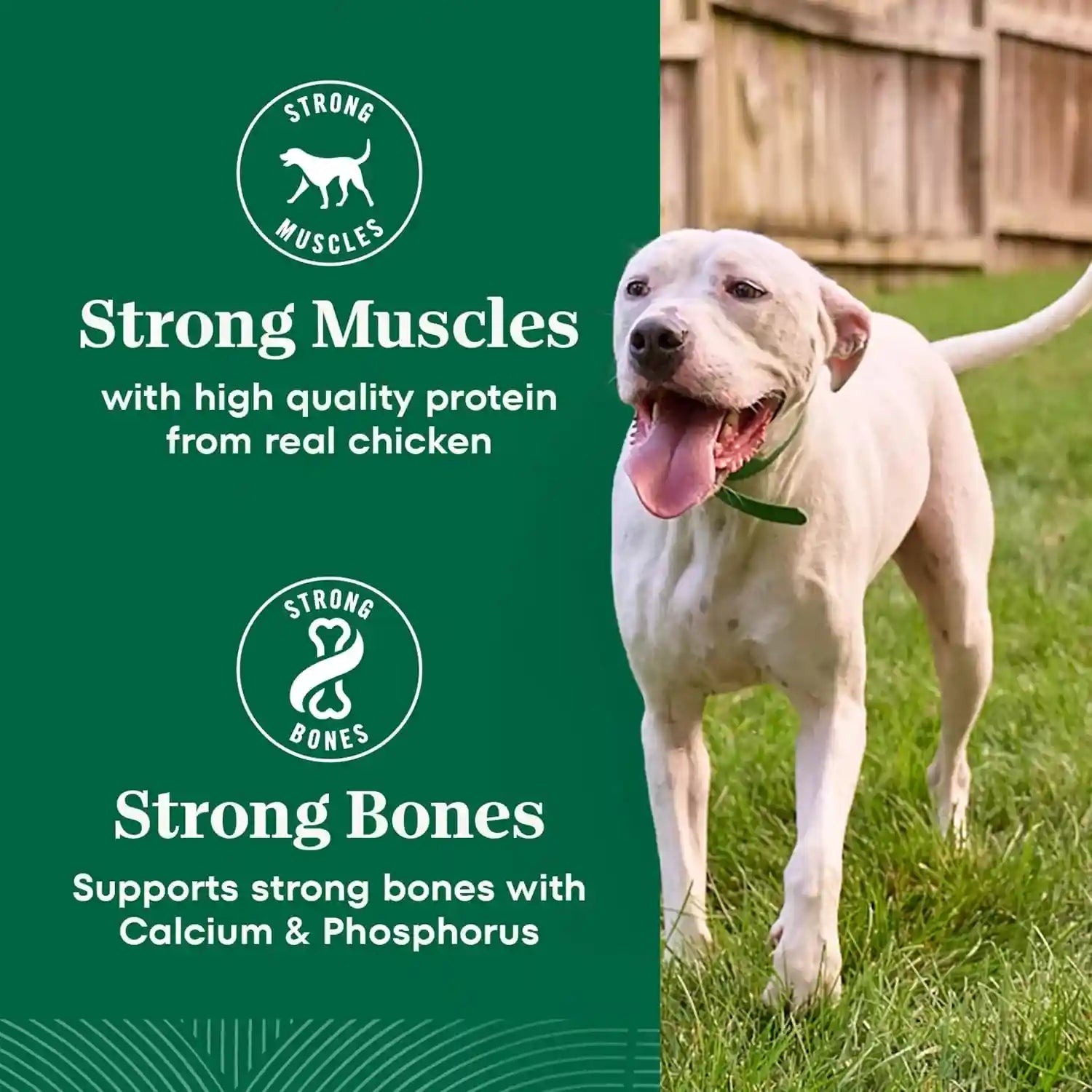 nutro-natural-choice-large-breed-adult-dry-dog-food-chicken-rice-30-lb-real-chicken-1-ingredient-non-gmo-made-in-usa-no-corn-wheat-soy-supports-joints-digestion-immunity-skin-coat