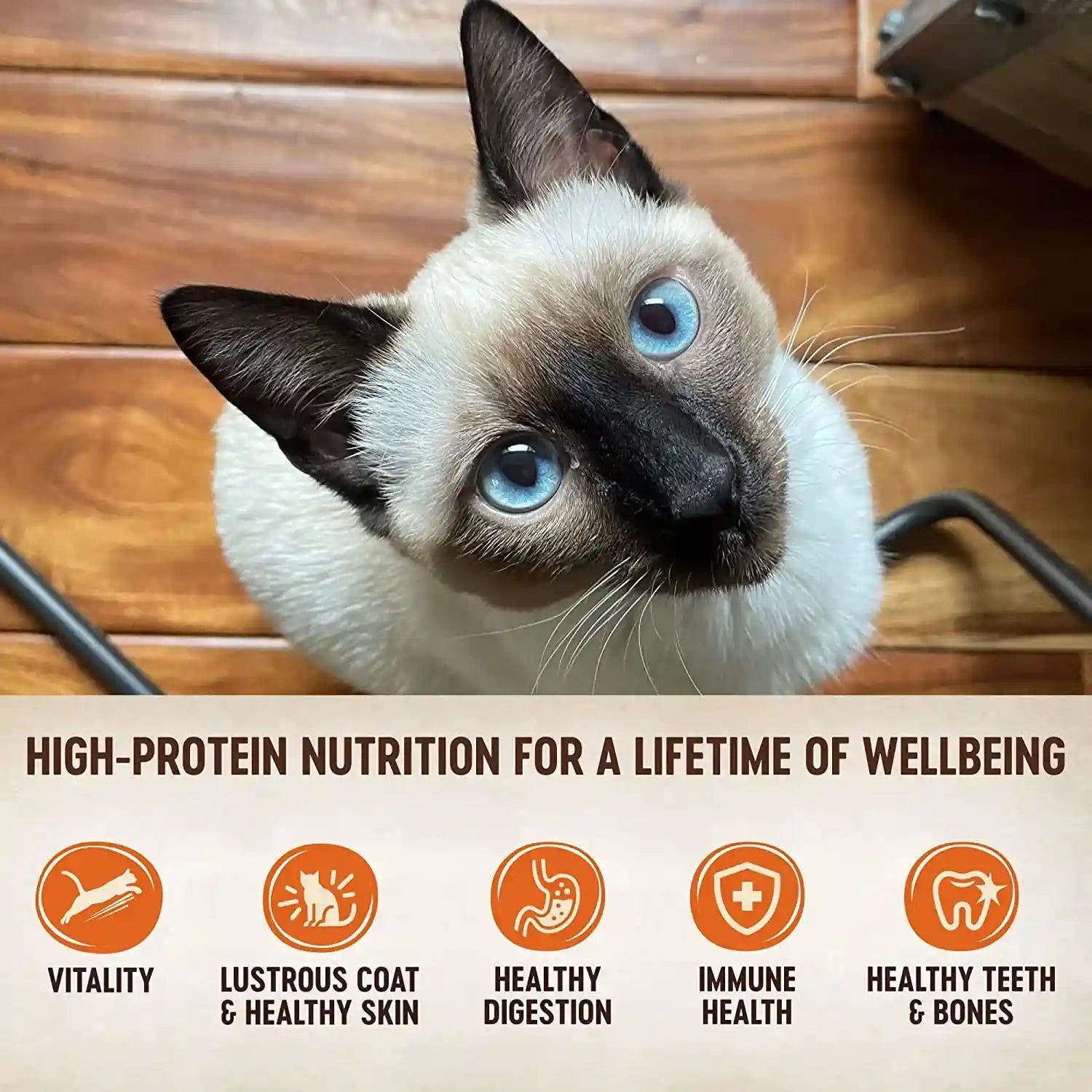 wellness-core-tiny-tasters-pate-variety-pack-adult-wet-cat-food-natural-protein-rich-grain-free-land-recipes-1-75-oz-pack-of-12-pouches