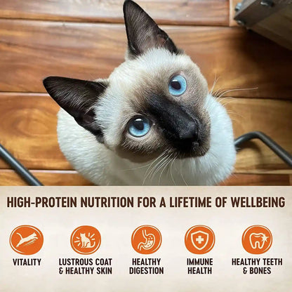 Wellness CORE Tiny Tasters Pate Variety Pack Adult Wet Cat Food, Natural, Protein Rich, Grain Free, Land Recipes, 1.75 Oz, Pack of 12 Pouches3