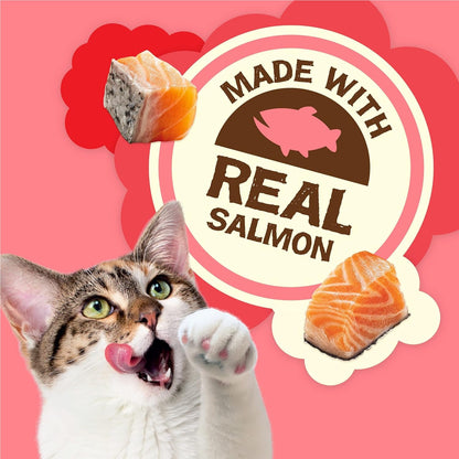 Purina Friskies Natural Cat Treats Party Mix Natural Yums with Real Salmon and Added Vitamins, Minerals and Nutrients - 20 Oz. Canister5