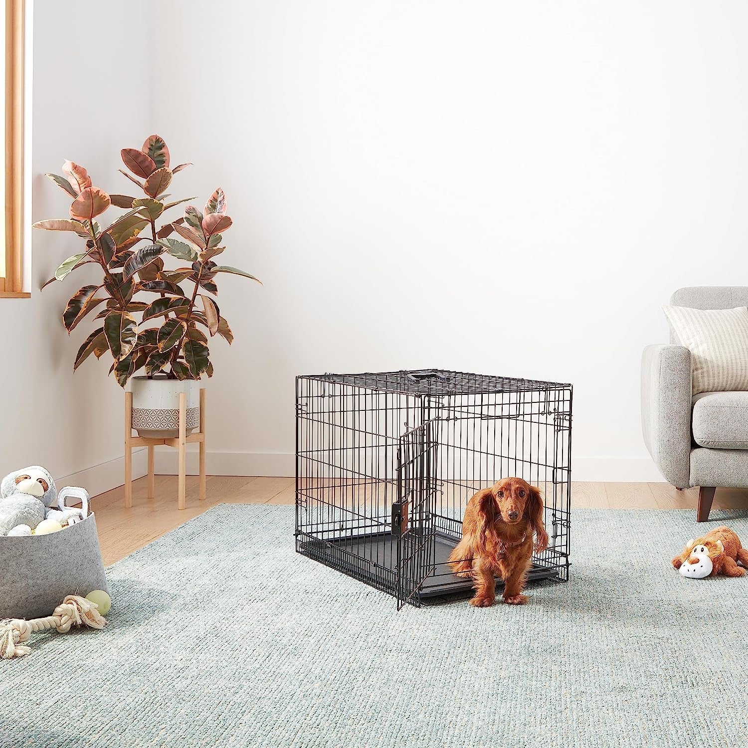 amazon-basics-portable-foldable-metal-wire-dog-crate-with-removable-tray-single-door-divider-panel-quick-setup-30-x-19-x-21-in-black