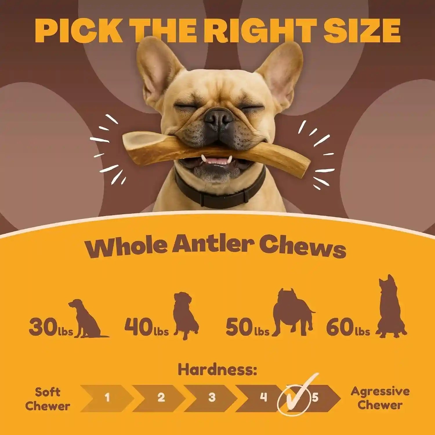 whitetail-naturals-whole-deer-antlers-for-dogs-1-lb-bulk-pack-4-5-ct-for-medium-large-aggressive-chewers-naturally-shed-wild-sourced-grade-a-long-lasting-crafted-in-usa