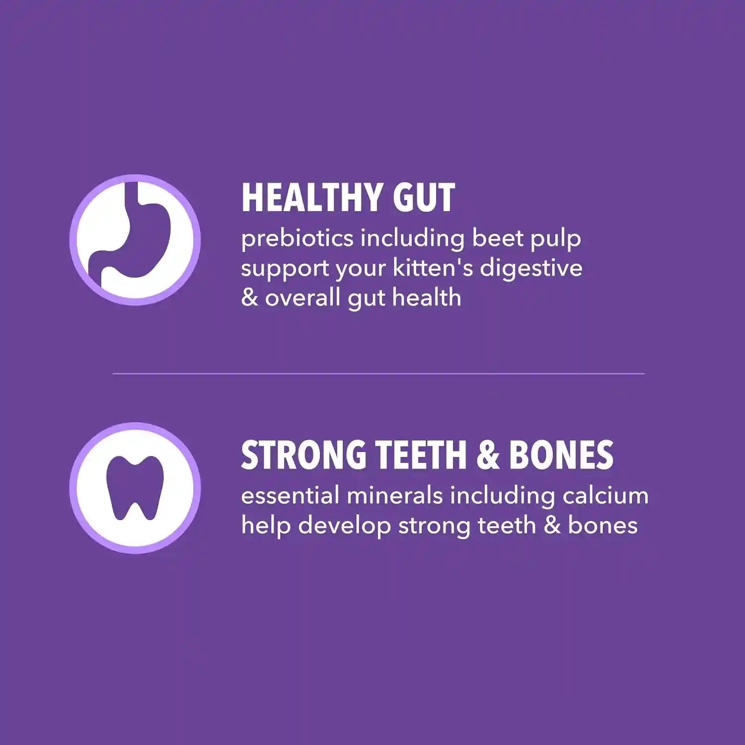 iams-proactive-health-healthy-kitten-dry-cat-food-chicken-3-5-lb-veterinarian-recommended-real-chicken-1-ingredient-omega-3-dha-taurine-supports-digestion-skin-health-immune-system