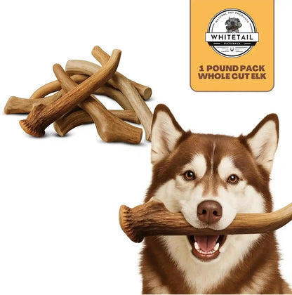 Whitetail Naturals Whole Deer Antlers for Dogs, 1 Lb Bulk Pack, 4-5 Ct | for Medium & Large Aggressive Chewers - Naturally Shed - Wild Sourced - Grade a - Long Lasting - Crafted in USA8