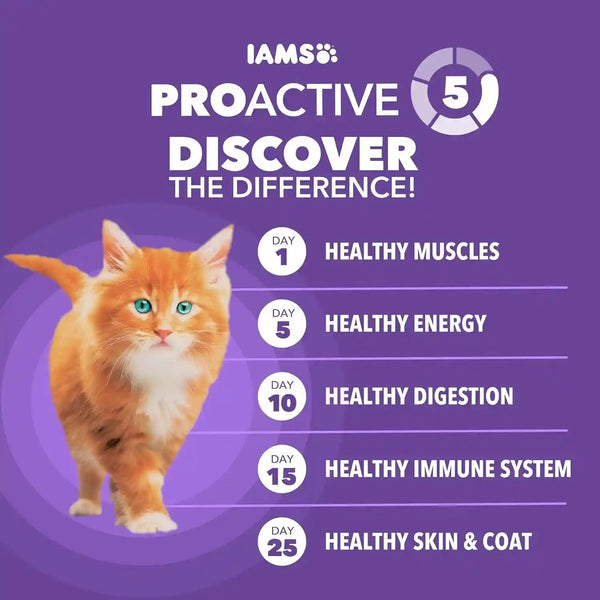 IAMS Proactive Health Healthy Kitten Dry Cat Food, Chicken, 3.5 Lb | Veterinarian-Recommended, Real Chicken #1 Ingredient, Omega-3 DHA & Taurine, Supports Digestion, Skin Health, Immune System5