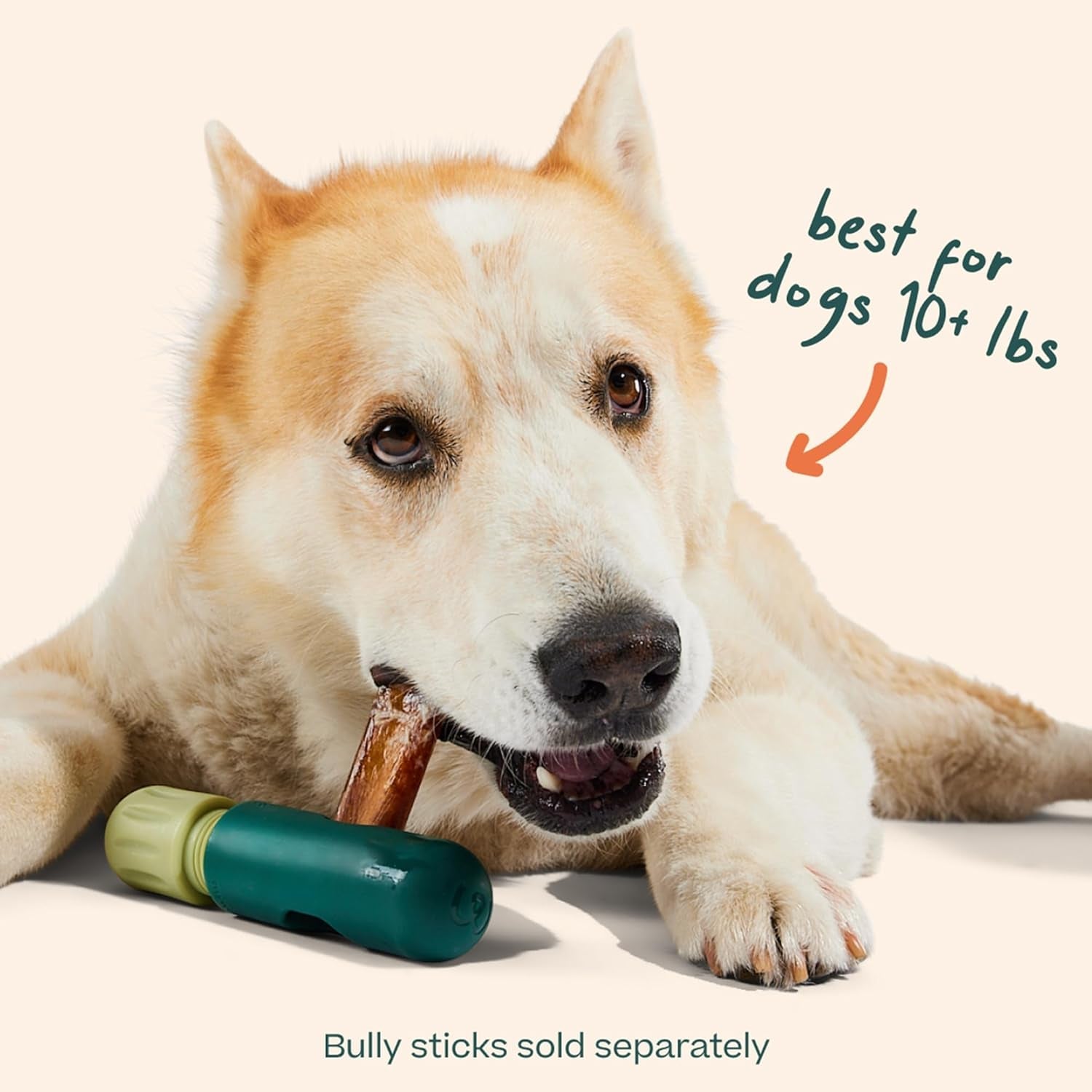 woof-bullysafe-bully-stick-holder-for-dogs-fits-dogs-10-lbs-secures-bully-sticks-extends-chew-time-easy-to-clean-reusable-design