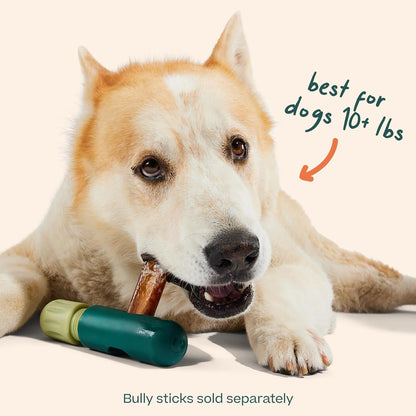 WOOF Bullysafe Bully Stick Holder for Dogs | Fits Dogs 10+ Lbs, Secures Bully Sticks, Extends Chew Time, Easy to Clean, Reusable Design6