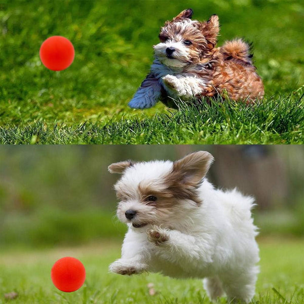 Volacopets Puppy Balls - Pack with Different Functions & Teething Toys for Small Dogs, Squeaky Dog Balls, Rubber Chew Toys for Enrichment7