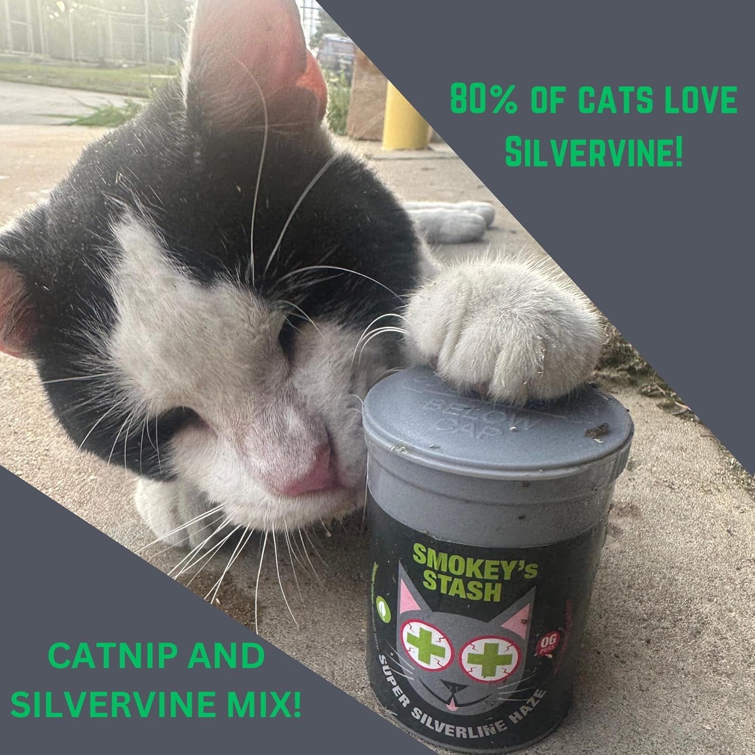 smokeys-stash-silvervine-haze-potent-catnip-and-silver-vine-blend-for-cats