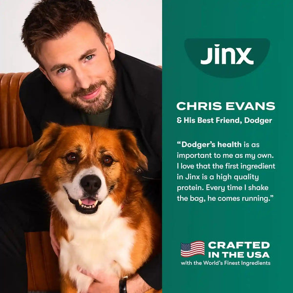 Jinx Grain Free Dry Dog Food - Real Salmon, Sweet Potato & Carrot, 4Lb | Premium Kibble for Digestive Support & Healthy Immunity - No Fillers, All Lifestages (Puppy, Adult & Senior), Breeds & Sizes5