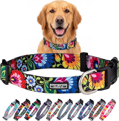 Lucky Love Dog - Easy Click Buckle Dog Collar with Leash Set Combo, Durable & Comfortable for Male & Female Dogs, Pet Collar for Medium Dogs, Secure Fit - Blackbird Combo, Medium54