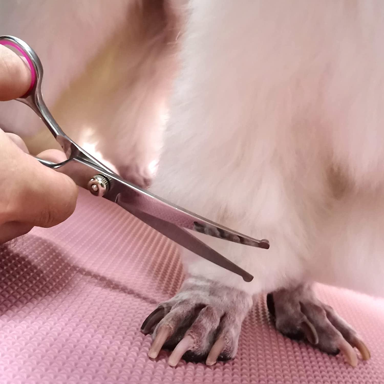 dog-grooming-scissors-kit-premium-stainless-steel-dog-shears-with-curved-shears-sharp-durable-for-dogs-cats-pink-3-piece