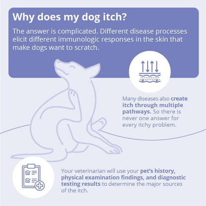 Miconahex+Triz Spray Conditioner for Dogs, Cats and Horses, 8 Oz, Clear | Antibiofilm, Moisturizing; Packaging May Vary6