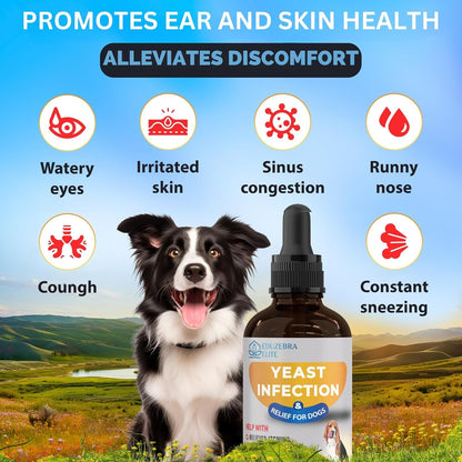 Yeast Infection Treatment for Dogs - Reduces Irritation & Inflammation - Soothing Itch Relief, Ear Infection Treatment3