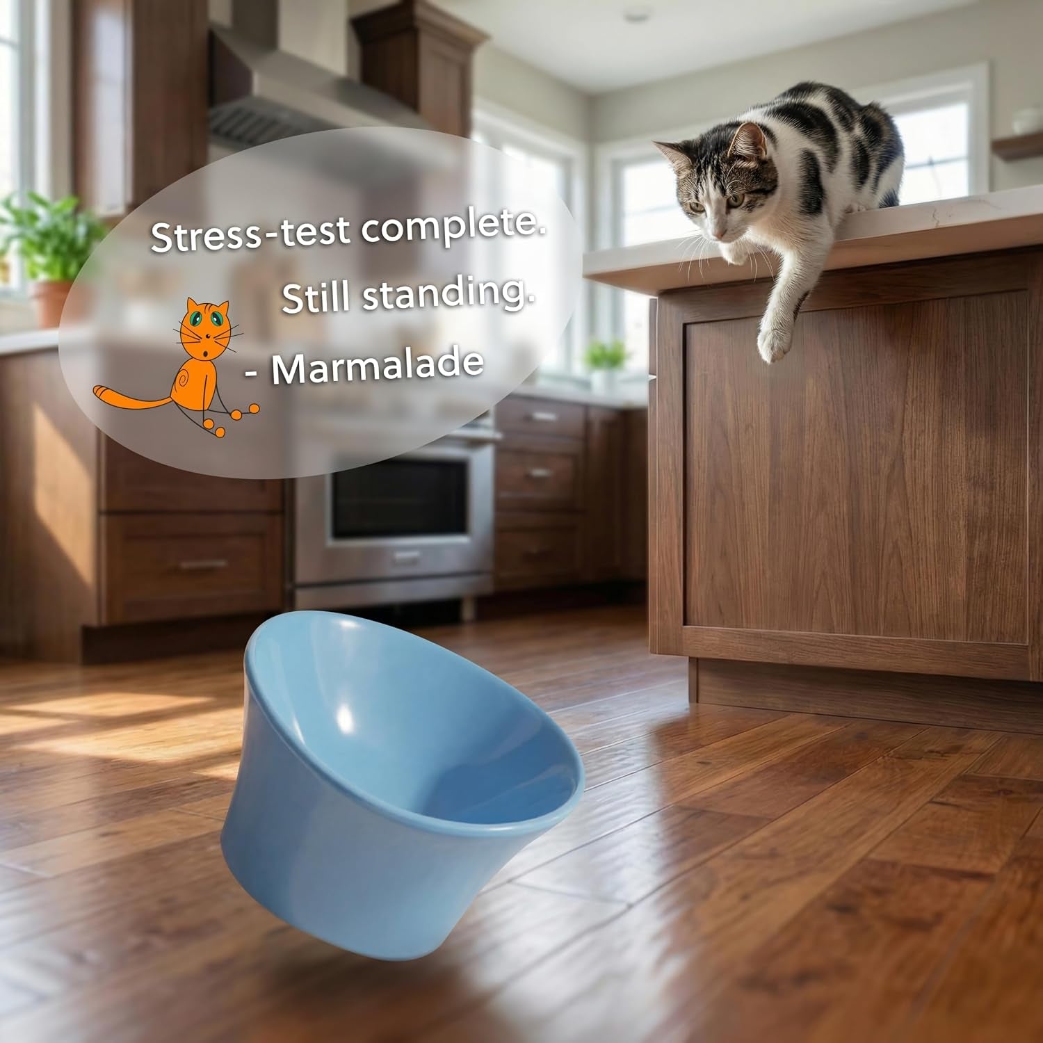 elevated-cat-bowls-for-water-whisker-neck-fatigue-shallow-cat-dishes-raised-bowl-for-indoor-cats-vet-recommended-height-modern-pedestal-design-non-slip-dishwasher-safe-8-oz-powder-blue