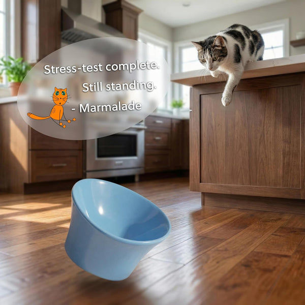 Elevated Cat Bowls for Water – Whisker & Neck Fatigue Shallow Cat Dishes – Raised Bowl for Indoor Cats – Vet-Recommended Height, Modern Pedestal Design – Non-Slip & Dishwasher-Safe – 8 Oz Powder Blue5