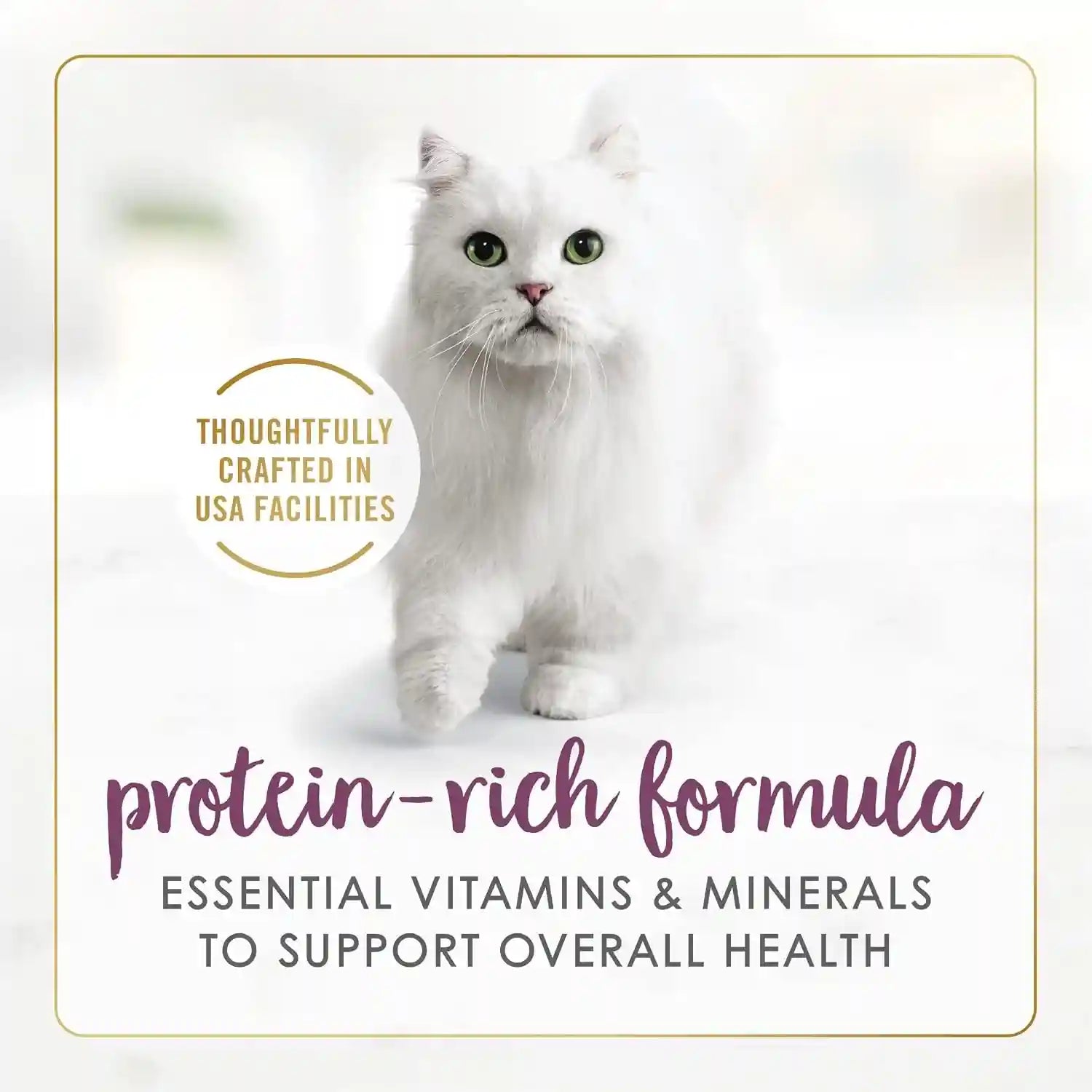 fancy-feast-purina-gravy-lovers-chicken-wet-cat-food-3-oz-cans-24-pack