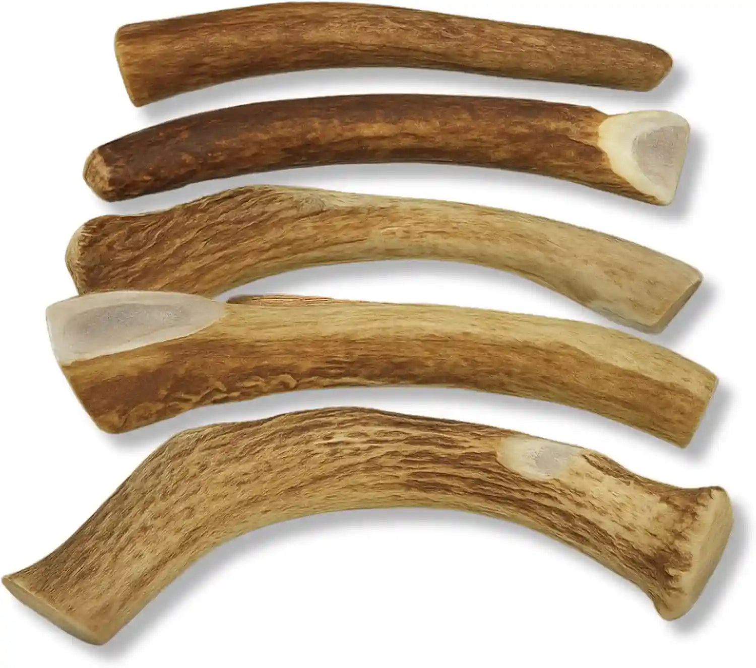 whitetail-naturals-whole-deer-antlers-for-dogs-1-lb-bulk-pack-4-5-ct-for-medium-large-aggressive-chewers-naturally-shed-wild-sourced-grade-a-long-lasting-crafted-in-usa