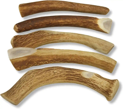 Whitetail Naturals Whole Deer Antlers for Dogs, 1 Lb Bulk Pack, 4-5 Ct | for Medium & Large Aggressive Chewers - Naturally Shed - Wild Sourced - Grade a - Long Lasting - Crafted in USA5