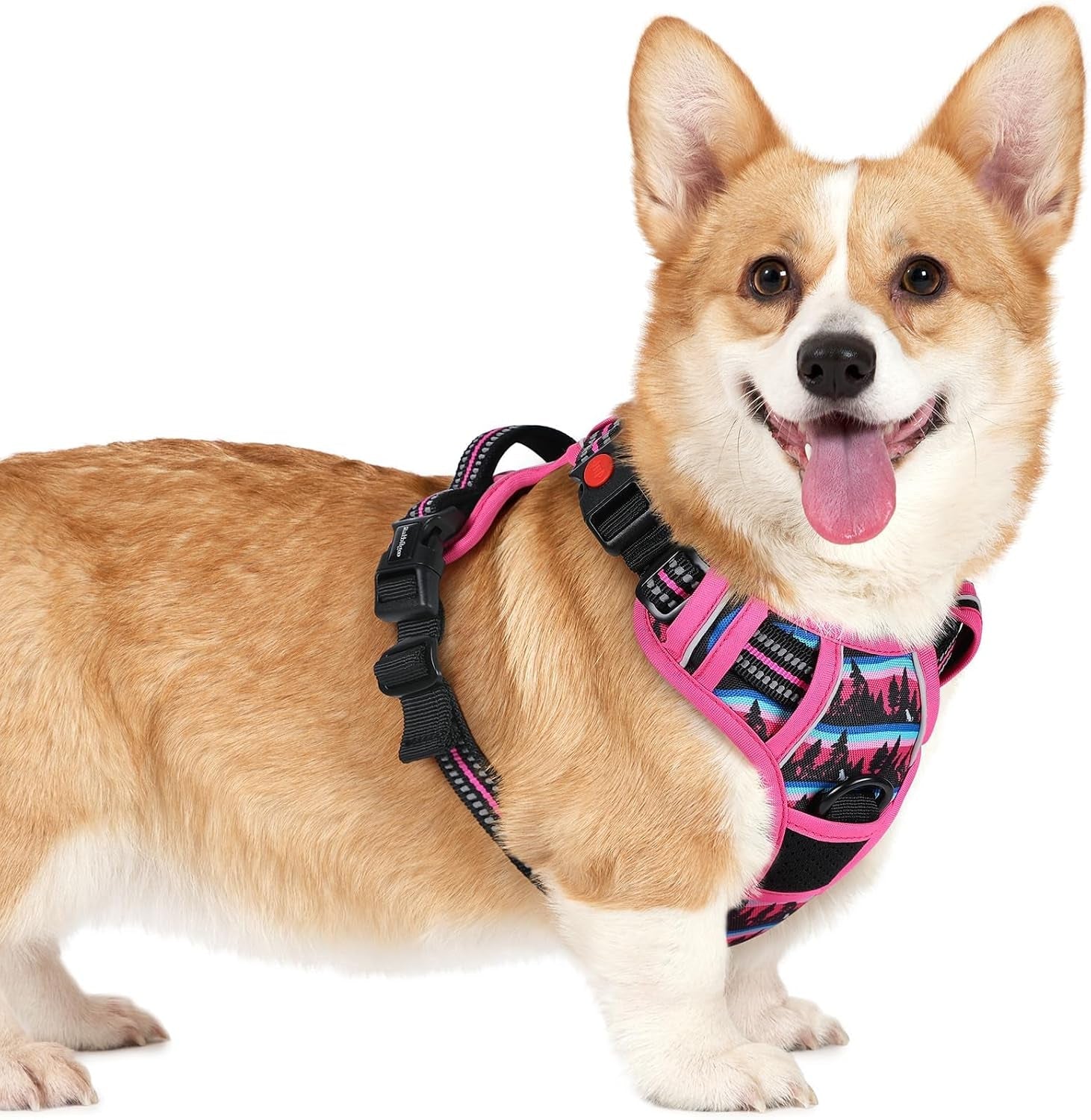 rabbitgoo-dog-harness-medium-sized-updated-easy-on-off-with-3-buckles-no-pull-no-choke-walking-with-2-clips-and-handle-adjustable-soft-reflective-blue-medium