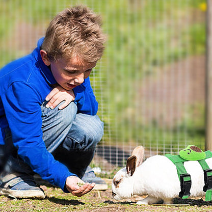 4 Sets Adjustable Bunny Rabbit Harness and Leash Set Small Pet Cute Vest Harness Leash Ferret Harness Guinea Pig Harness Ferret Leash with Decorations for Bunny Kitten Puppy, Small Pets2