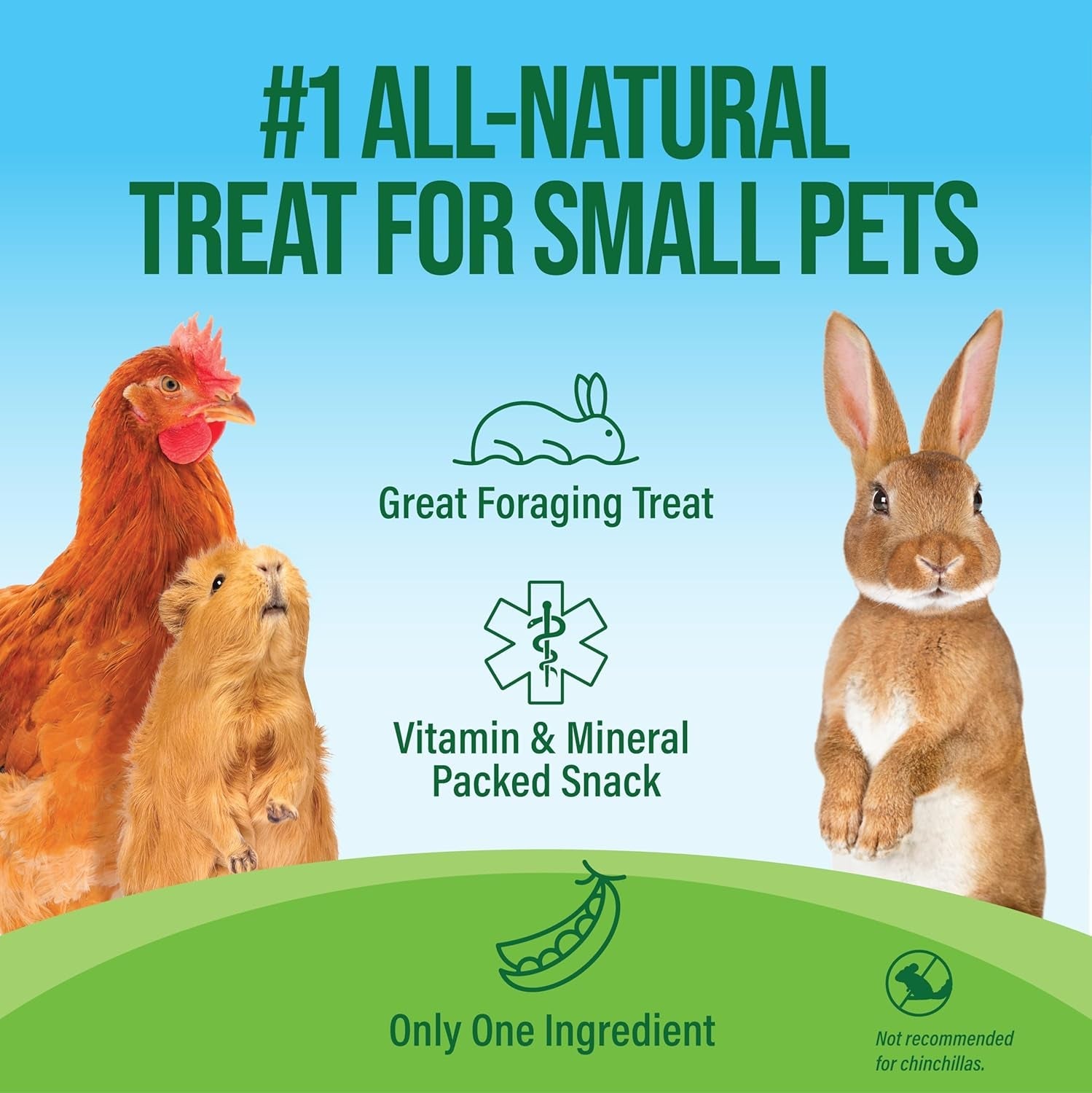 small-pet-select-pea-flakes-treats-for-rabbits-guinea-pigs-1-lb-natural-wholesome-snack-high-fiber-for-bunnies-hamsters-chickens-chinchillas-small-pets