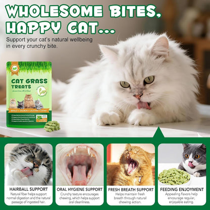 180G/6.4Oz Cat Grass Treats for Hairball Control, Natural Teeth Cleaning & Fresh Breath, Crunchy Catnip Flavored Biscuits with Barley Grass, Cat Training Rewards for All Breeds3