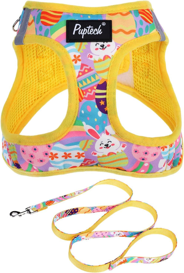 PUPTECK Dog Harness and Leash Set for Small Medium Dogs No Pull Step-In Soft Mesh Puppy Cat Vest Harnesses Reflective at Night, Green S42