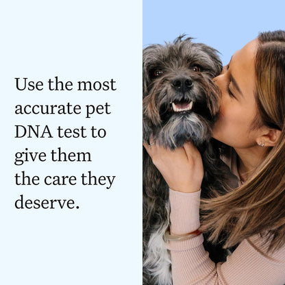 Wisdom Panel Essential Dog DNA Testing Kit - Most Accurate Test for 430+ Dog Breeds, 30 Genetic Health Conditions, 50+ Traits, Relatives, Ancestry, 1 Pack2