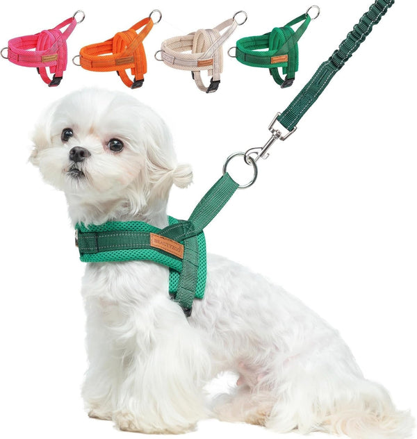 BEAUTYZOO Dog Harness No Pull, Quick Fit Dog Harness and Leash Set, Escape Proof Vest Harness with Soft Handle, Reflective Breathable Mesh Padding Harness for Medium Size Dog Training Walking, Beige M22