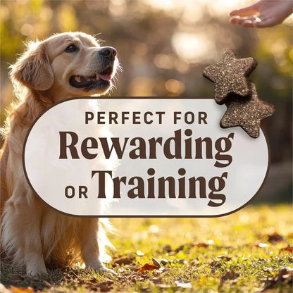 Merrick Power Bites Natural Soft and Chewy Real Meat Dog Treats, Grain Free Snack with Real Beef Recipe - 6 Oz. Bag4
