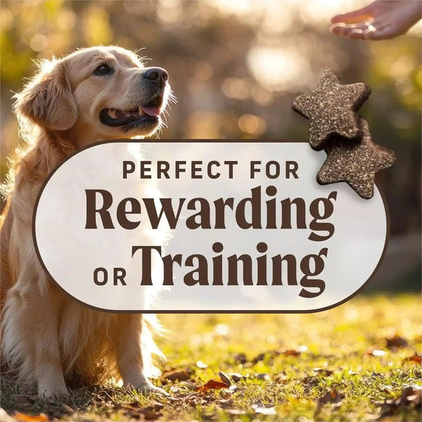 Merrick Power Bites Natural Soft and Chewy Real Meat Dog Treats, Grain Free Snack with Real Beef Recipe - 6 Oz. Bag4