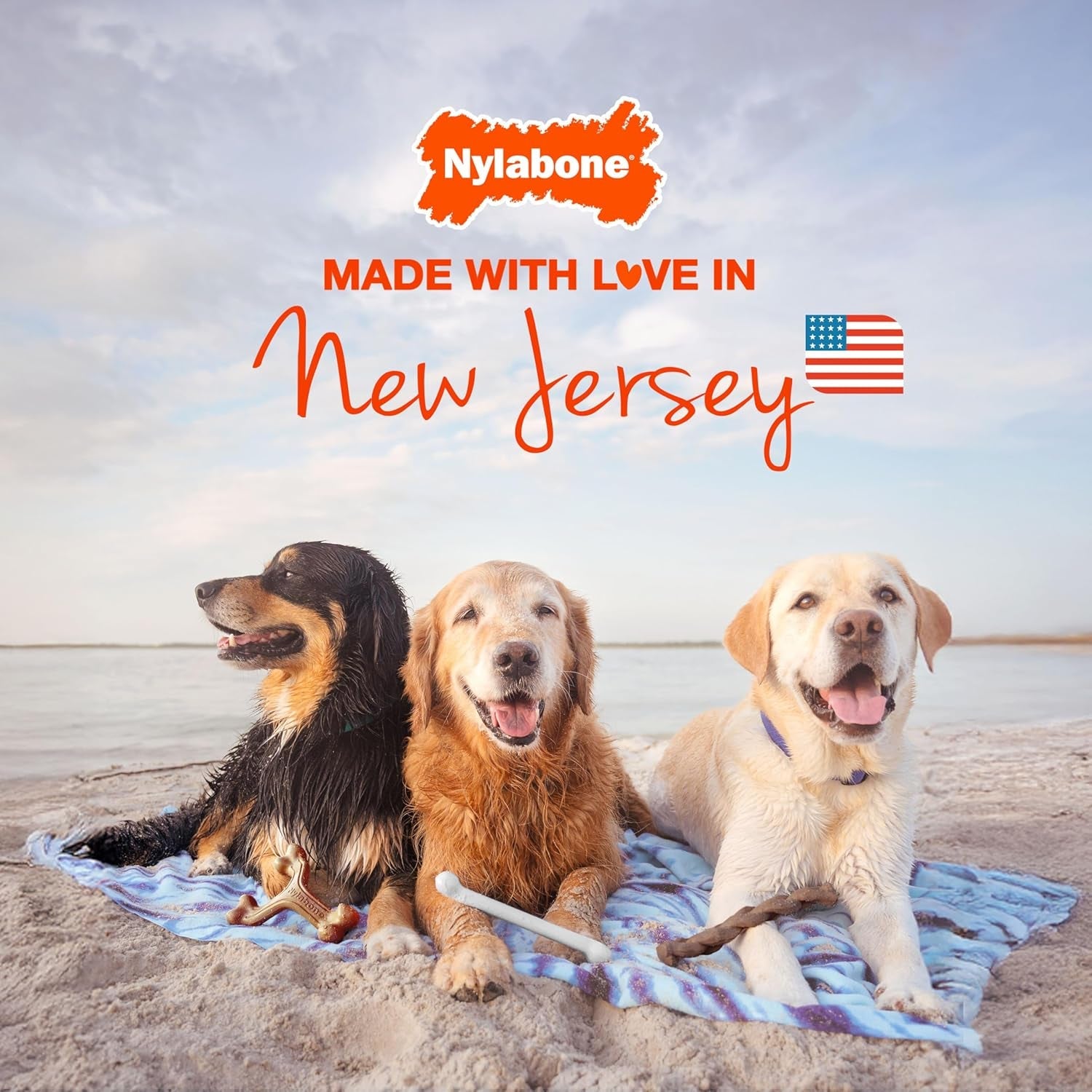 nylabone-power-chew-original-bone-dog-chew-toys-x-small-3-count-pancakes-sausage-roast-beef-meat-lasagna-flavor-durable-long-lasting-flavor-throughout-for-dogs-up-to-15-lbs