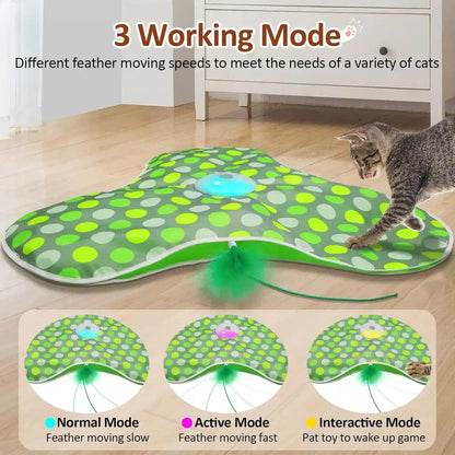 Sofolor Interactive Cat Toy, Automatic Cat Toys for Indoor Cats, Hide and Seek Cat Toy with Motion Activated, Moving Feather, Chirping, USB Rechargeable4