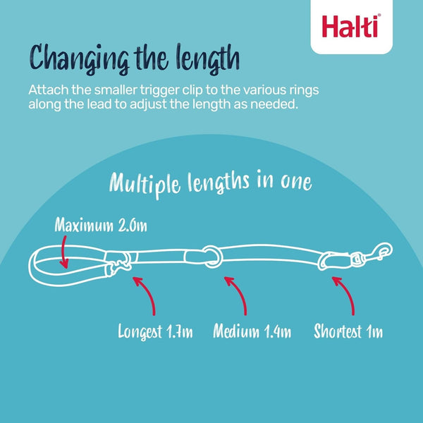 Halti Optifit Headcollar Size Medium & Halti Training Leash Size Large, Black Combination Pack - Stop Your Dog Pulling on the Leash. Adjustable with Padded Nose Band. Suitable for Medium Dogs4