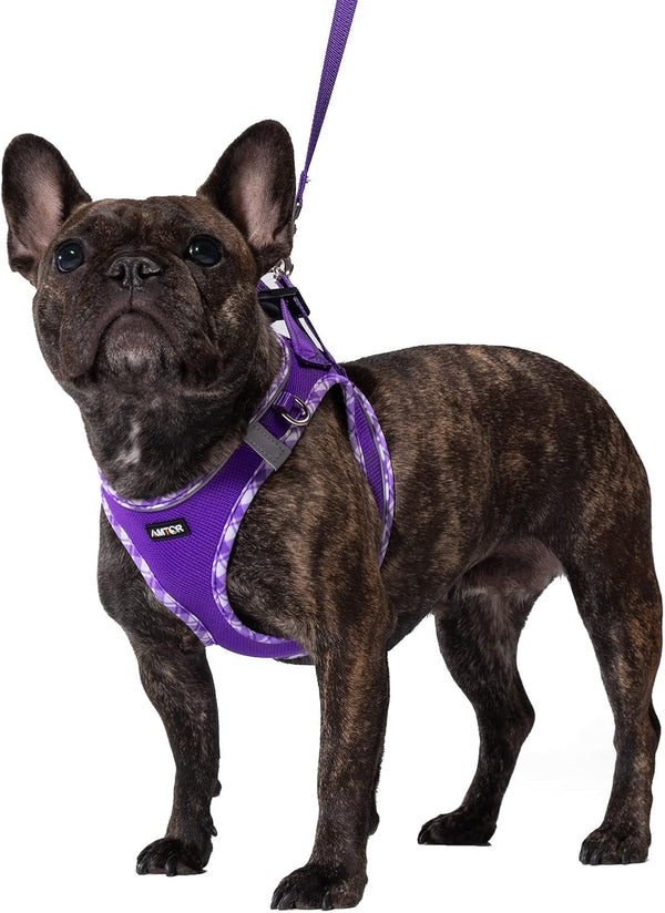 AMTOR Small Dog Harness with Leash Set, No Escape Easy Walk Puppy Harnesses for Training Walking, Step-In Reflective Soft Dogs Vest for XS S Medium Extra-Small Large Sized Dog(Green,S)26